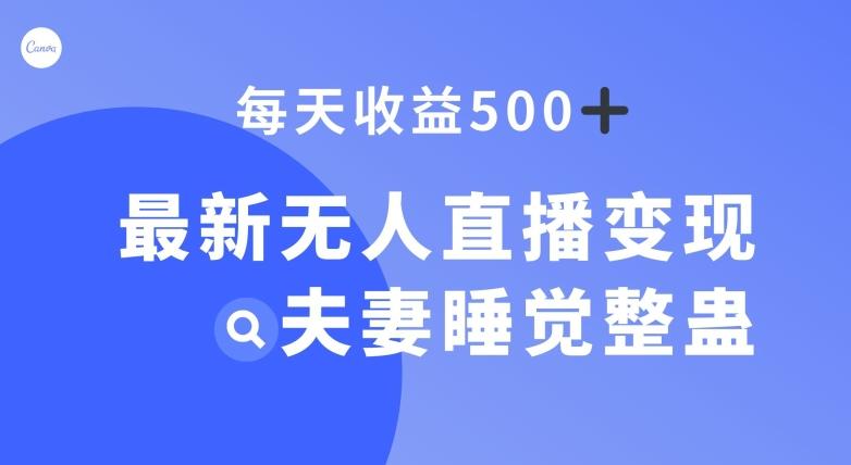 最新无人直播变现，夫妻睡觉整蛊，每天躺赚500+【揭秘】-大熊网创