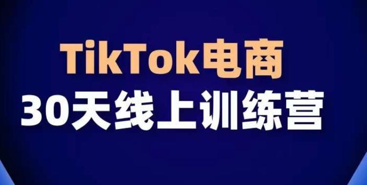 TikTok电商带货30天线上课，不可错过的全球流量洼地！-大熊网创