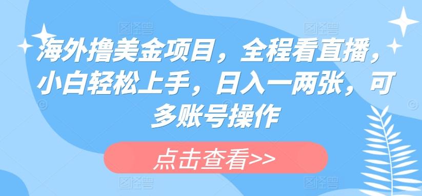 海外撸美金项目，全程看直播，小白轻松上手，日入一两张，可多账号操作【揭秘】-大熊网创