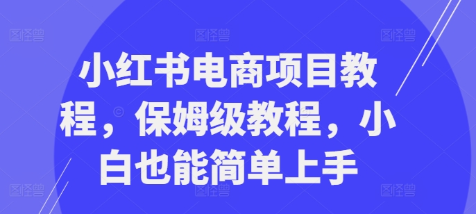 小红书电商项目教程，保姆级教程，小白也能简单上手-大熊网创