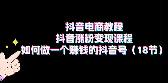 抖音电商教程：抖音涨粉变现课程：如何做一个赚钱的抖音号(18节-大熊网创