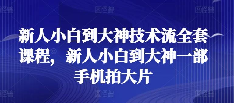 新人小白到大神技术流全套课程，新人小白到大神一部手机拍大片-大熊网创