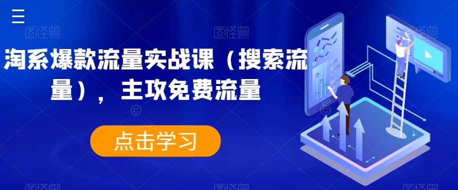 淘系爆款流量实战课（搜索流量），主攻免费流量-大熊网创