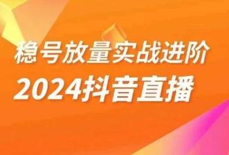 稳号放量实战进阶—2024抖音直播，直播间精细化运营的几大步骤-大熊网创