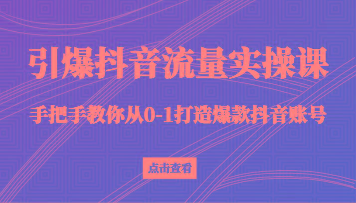引爆抖音流量实操课，手把手教你从0-1打造爆款抖音账号(27节课)-大熊网创