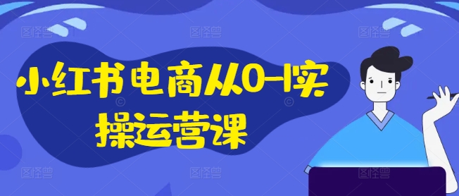 小红书电商从0-1实操运营课，小红书手机实操小红书/IP和私域课/小红书电商电脑实操板块等-大熊网创