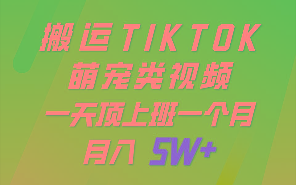 一键搬运TIKTOK萌宠类视频，一部手机即可操作，所有平台均可发布 轻松月入5W+-网创星球