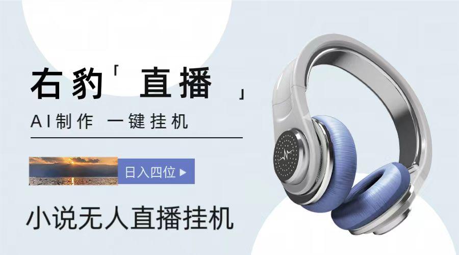 右豹小说无人直播挂机吸金项目，简单易行收益稳定， 月入1000+-大熊网创