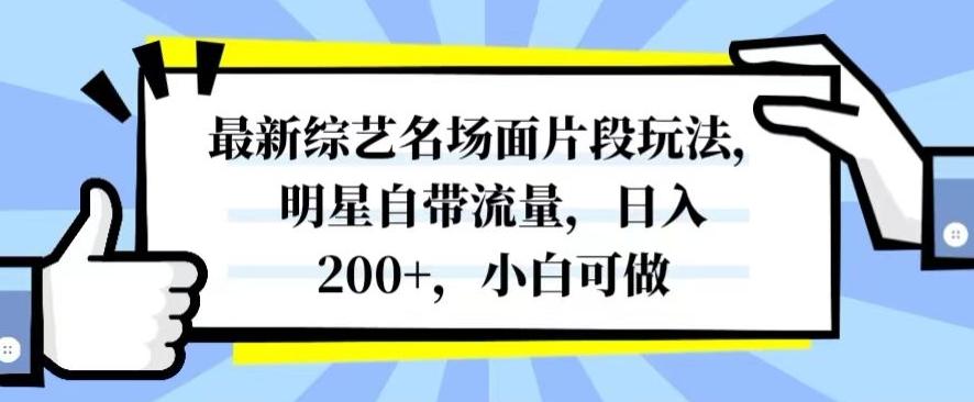 最新综艺名场面片段玩法，明星自带流量，日入200+，小白可做【揭秘】-大熊网创