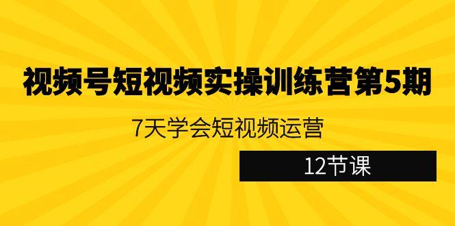 视频号短视频实操训练营第5期：7天学会短视频运营(12节课)-大熊网创