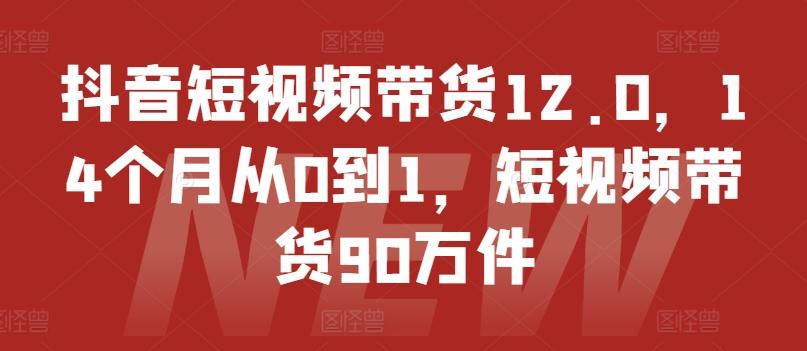抖音短视频带货12.0，14个月从0到1，短视频带货90万件-大熊网创
