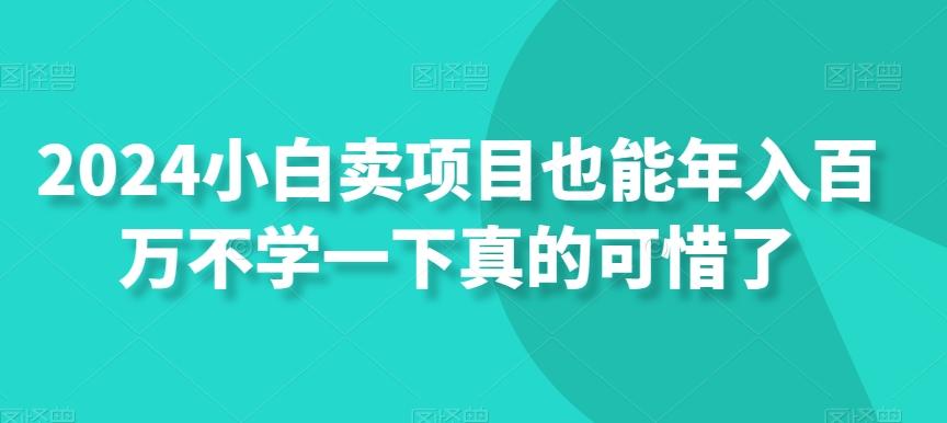 2024小白卖项目也能年入百万不学一下真的可惜了-大熊网创