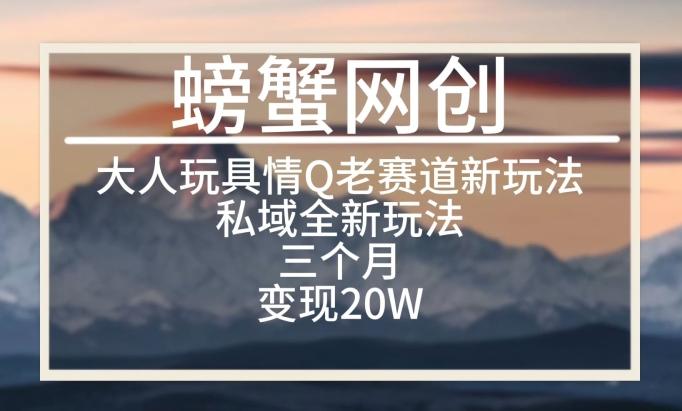 大人玩具情Q用品赛道私域全新玩法，三个月变现20W，老项目新思路【揭秘】-大熊网创