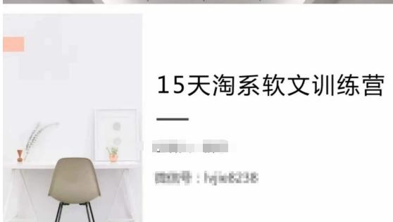 15天淘系软文训练营，跟年入50万的淘系软文导师，学习月收过万的淘系软文-大熊网创