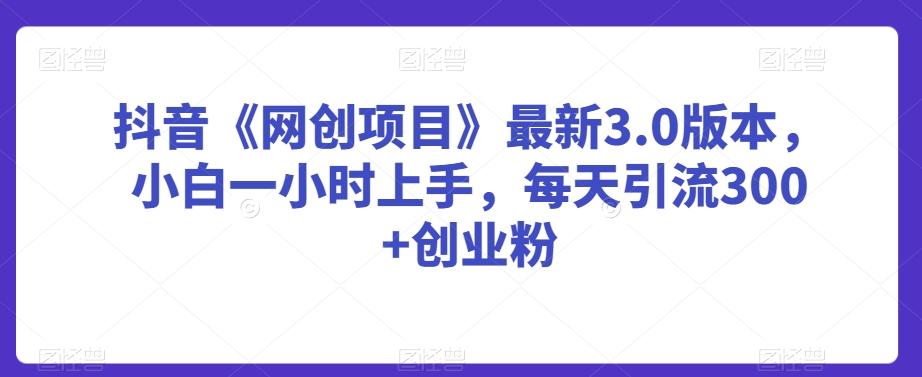 抖音《网创项目》最新3.0版本，小白一小时上手，每天引流300+创业粉【揭秘】-大熊网创