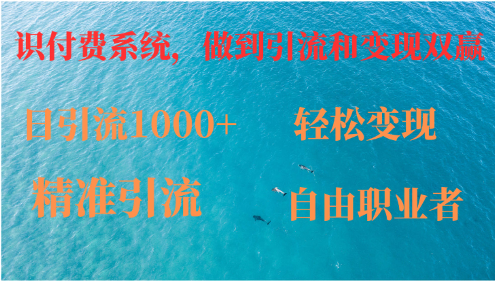 如何搭建自己的知识付费系统，做到引流和变现双赢-大熊网创