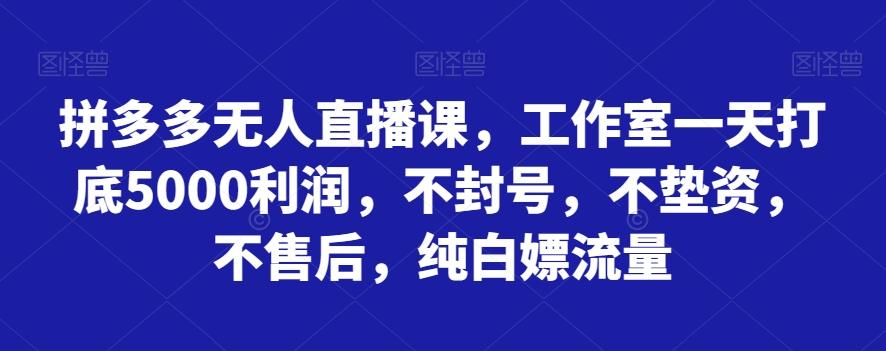 拼多多无人直播课，工作室一天打底5000利润，不封号，不垫资，不售后，纯白嫖流量-大熊网创