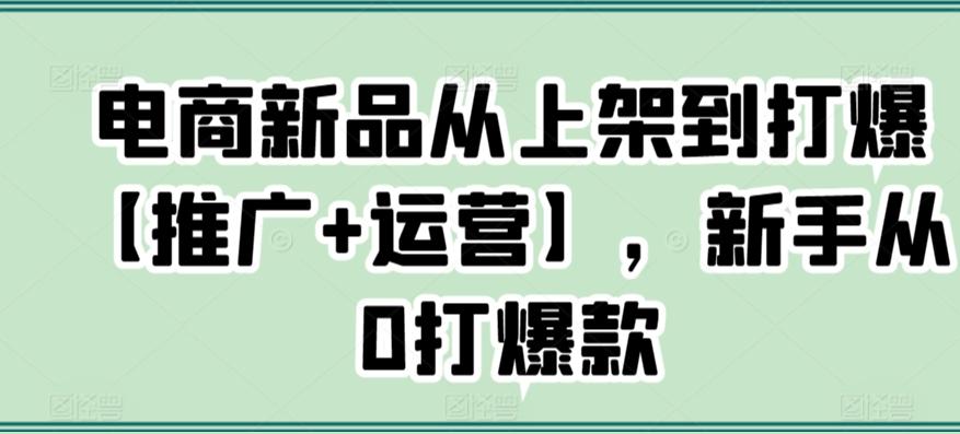 电商新品从上架到打爆【推广+运营】，新手从0打爆款-大熊网创