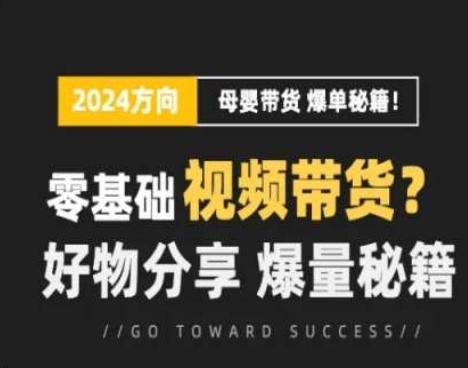 短视频母婴赛道实操流量训练营，零基础视频带货，好物分享，爆量秘籍-大熊网创