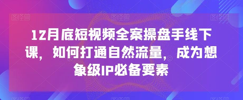 12月底短视频全案操盘手线下课，如何打通自然流量，成为想象级IP必备要素-大熊网创