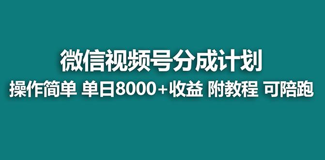 【蓝海项目】视频号分成计划最新玩法，单天收益8000+，附玩法教程，24年…-大熊网创