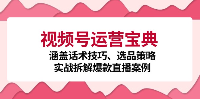 视频号运营宝典：涵盖话术技巧、选品策略、实战拆解爆款直播案例-网创星球