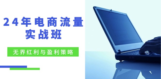 24年电商流量实战班：无界 红利与盈利策略，终极提升/关键词优化/精准…-网创星球