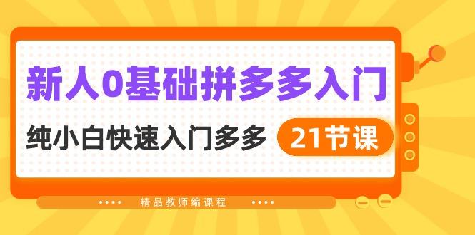 新人0基础拼多多入门，​纯小白快速入门多多(21节课-大熊网创
