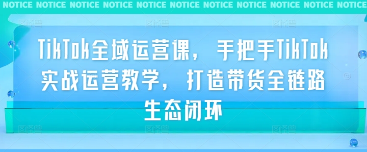 TikTok全域运营课，手把手TikTok实战运营教学，打造带货全链路生态闭环-大熊网创