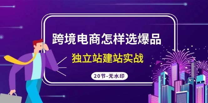 (9369期)跨境电商怎样选爆品，独立站建站实战(20节高清无水印课)-大熊网创