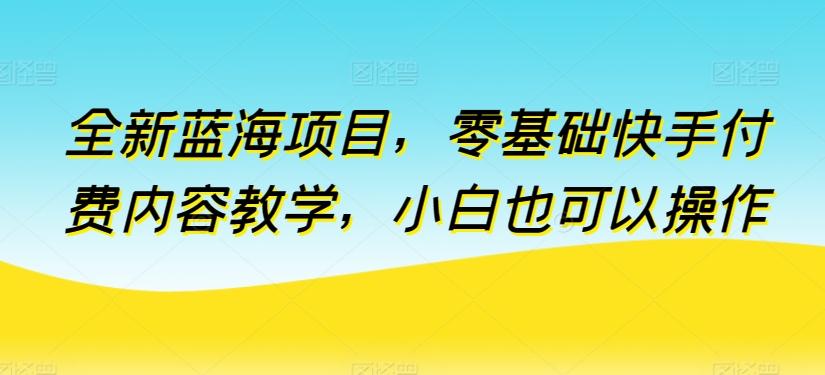 全新蓝海项目，零基础快手付费内容教学，小白也可以操作【揭秘】-大熊网创