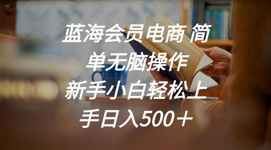 蓝海会员电商 简单无脑操作 新手小白轻松上手日入500＋-大熊网创