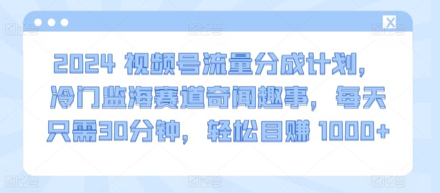 2024视频号流量分成计划，冷门监海赛道奇闻趣事，每天只需30分钟，轻松目赚 1000+【揭秘】-大熊网创