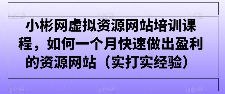 小彬网虚拟资源网站培训课程，如何一个月快速做出盈利的资源网站(实打实经验)-大熊网创