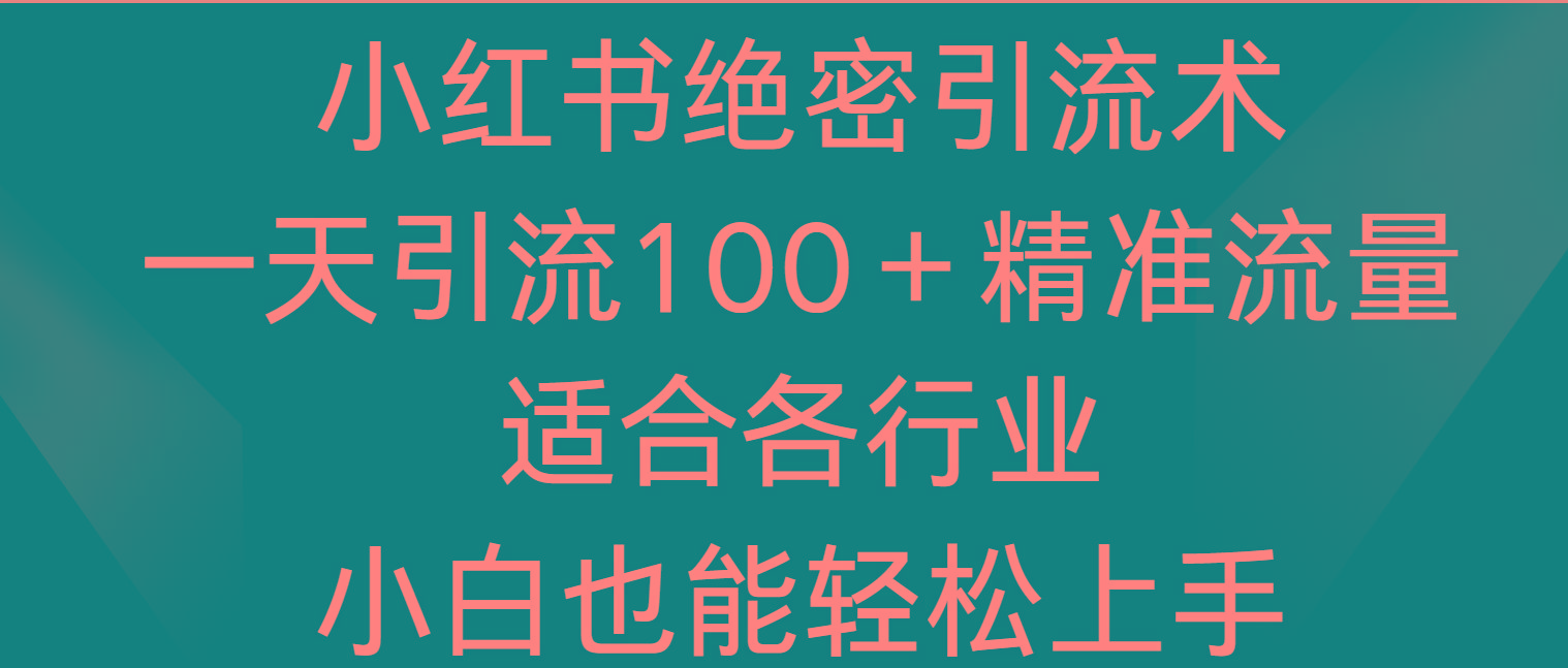 小红书绝密引流术，一天引流100＋精准流量，适合各个行业，小白也能轻松上手-大熊网创