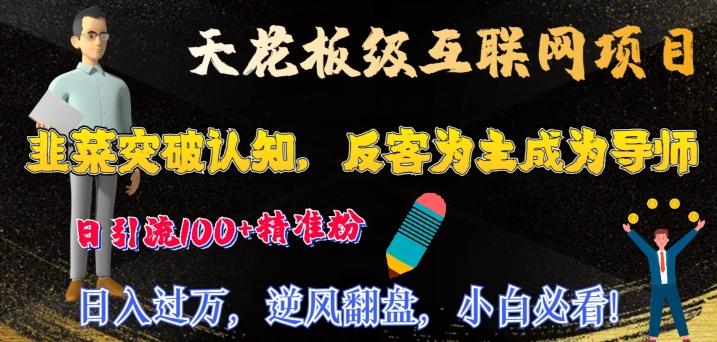 天花板级互联网项目，韭菜突破认知，反客为主成为导师，日引流100+精准粉-大熊网创
