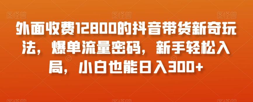 外面收费12800的抖音带货新奇玩法，爆单流量密码，新手轻松入局，小白也能日入300+【揭秘】-大熊网创