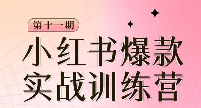 小红书博主爆款训练营第11期，手把手教你从0-1做小红书，从定位到起号到变现-大熊网创