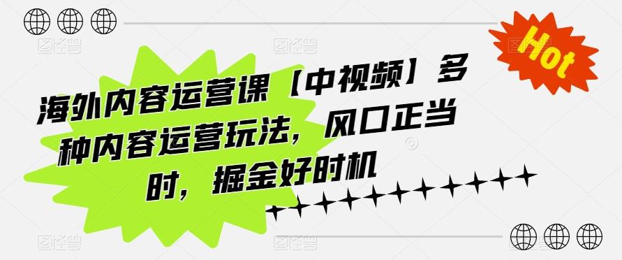 海外内容运营课【中视频】多种内容运营玩法，风口正当时，掘金好时机-大熊网创