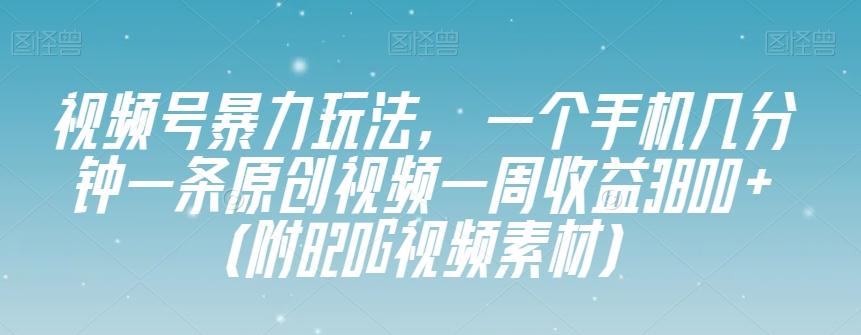 视频号暴力玩法，一个手机几分钟一条原创视频一周收益3800+（附820G视频素材）-大熊网创