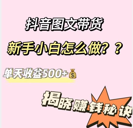 抖音图文带货，新手小白怎么做？单天收益500+【揭秘赚钱秘诀】-大熊网创