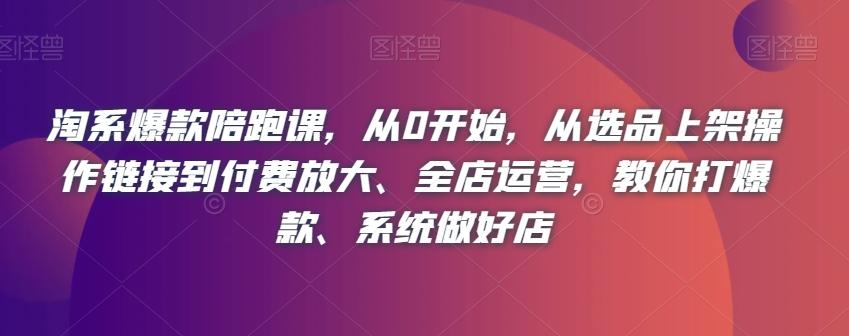 淘系爆款陪跑课，从0开始，从选品上架操作链接到付费放大、全店运营，教你打爆款、系统做好店-大熊网创