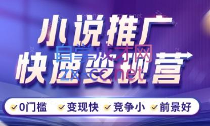 洲洲老师·小说推广快速变现营-网创星球