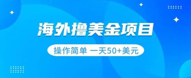 撸美金项目无门槛操作简单小白一天50+美刀-大熊网创