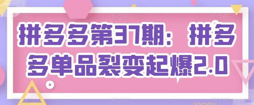 拼多多第37期：拼多多单品裂变起爆2.0-大熊网创