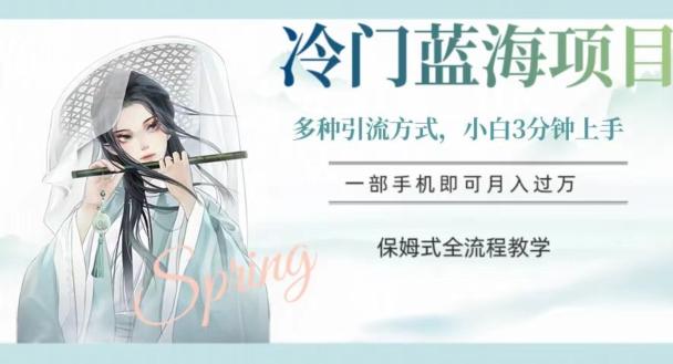 冷门蓝海项目，操作简单，小白3分钟上手，多种引流方式，保姆式全流程教学【揭秘】-大熊网创