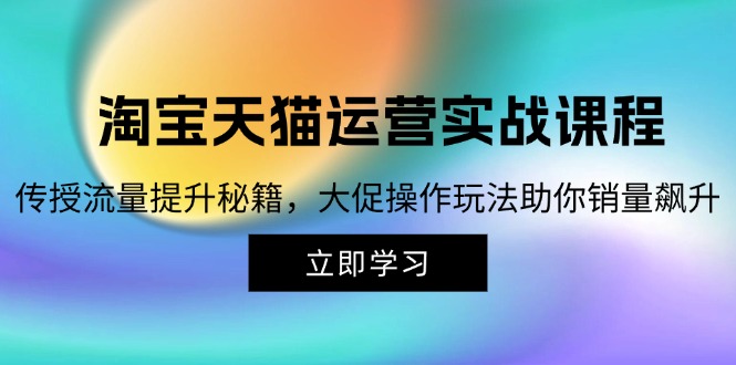 淘宝&天猫运营实战课程，传授流量提升秘籍，大促操作玩法助你销量飙升-大熊网创