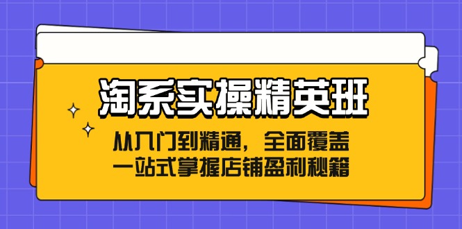 淘系实操精英班：从入门到精通，全面覆盖，一站式掌握店铺盈利秘籍-大熊网创