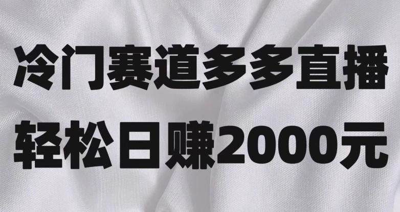 冷门赛道拼多多直播，简单念稿子，日收益2000＋【揭秘】-大熊网创