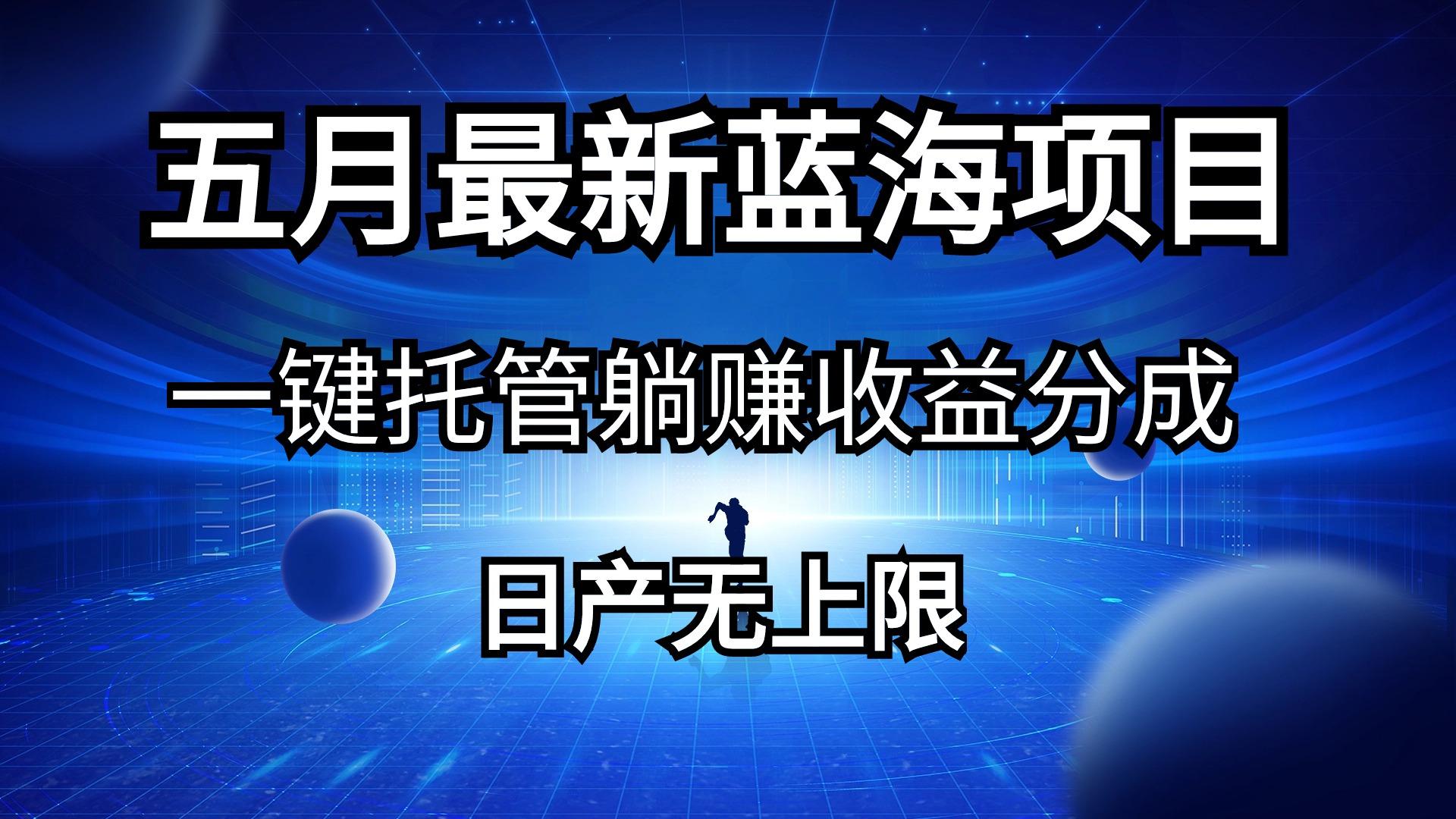 五月刚出最新蓝海项目一键托管 躺赚收益分成 日产无上限-大熊网创